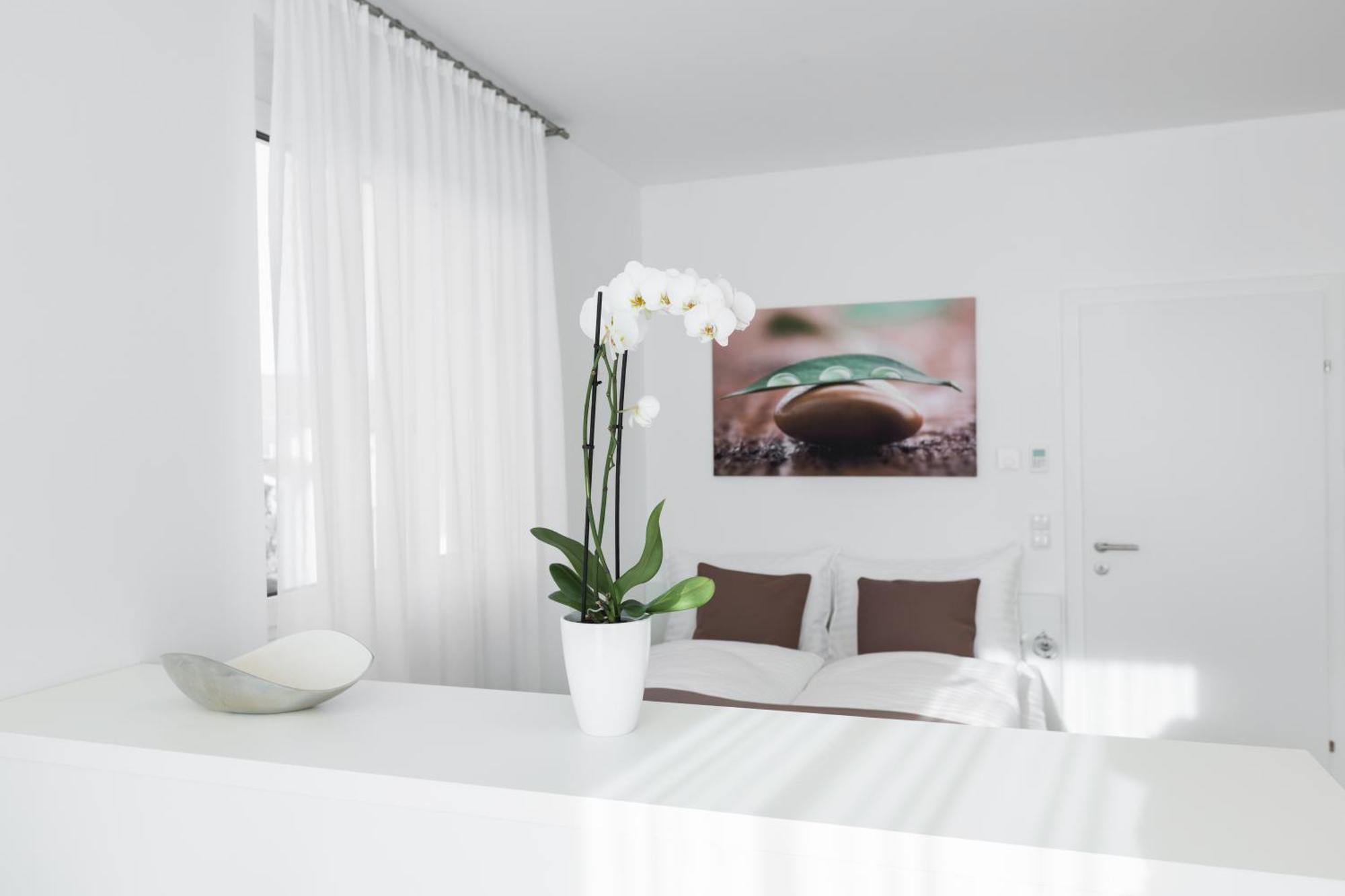 sHome Hotel Graz Esterno foto